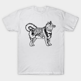 Shiba Inu Sketch T-Shirt